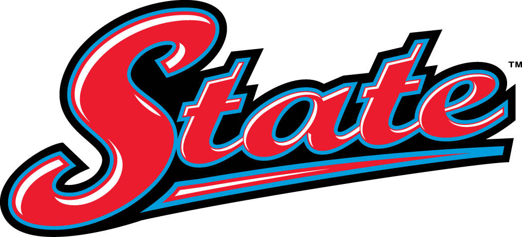Delaware State Hornets 2004-Pres Wordmark Logo v2 diy iron on heat transfer